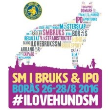 Bruks & IPO SM