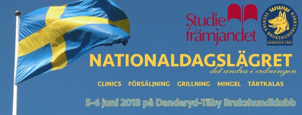 Nationaldagsläger