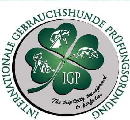 FCI IGP SM & VM uttagning