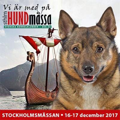 Stora Stockholm 2017 16-17 december