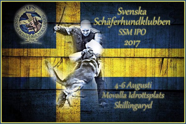 SSM IPO 2017