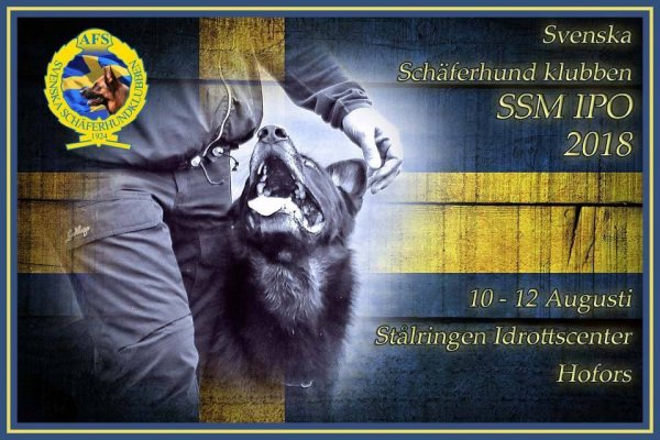 SSM IPO 2018