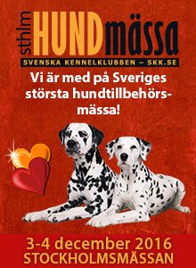 Stora Stockholm