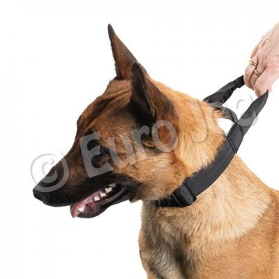 Iron Power Collar Black